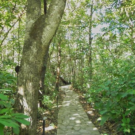 Pousada Eden - Conforto, Imersao E Natureza Сан-Жоржи Экстерьер фото