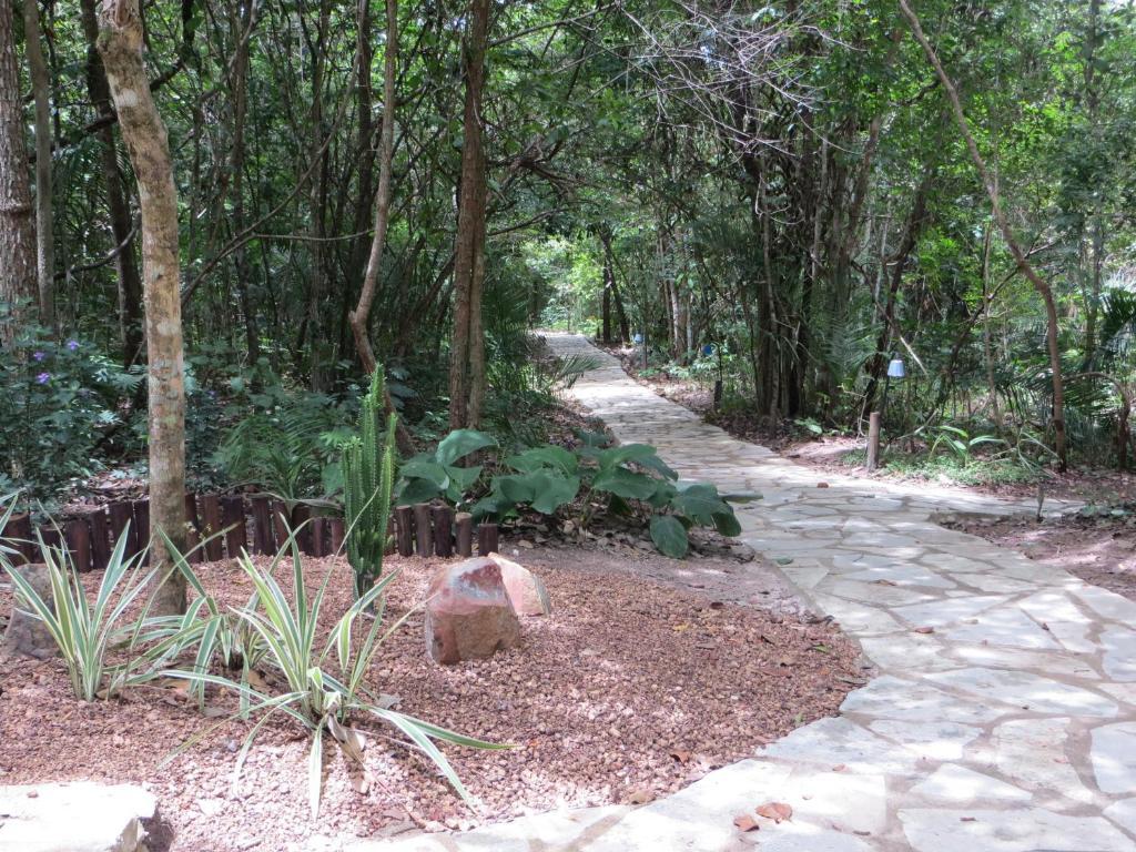 Pousada Eden - Conforto, Imersao E Natureza Сан-Жоржи Экстерьер фото